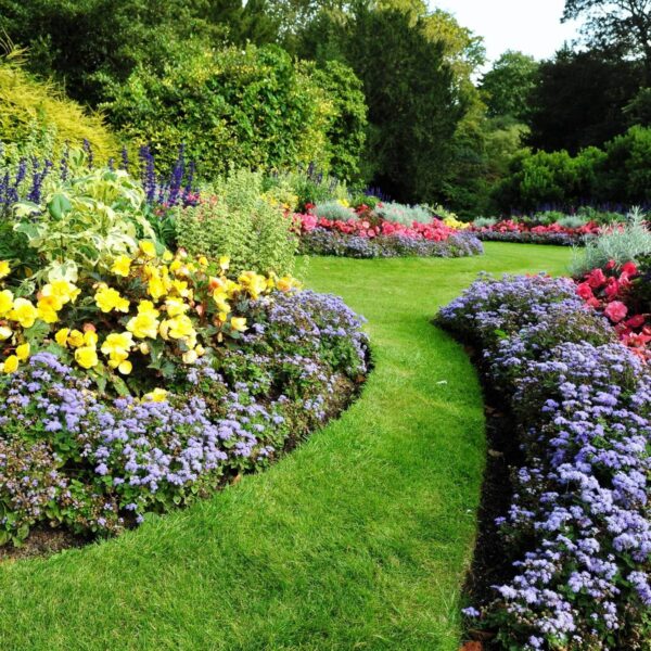 Gardening Made Easy: Essential Landscape Design Bundle